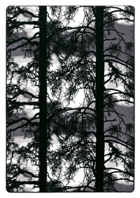 VM000305-69; Vallila Kelohonka-matto Harmaa / 160x230 cm 